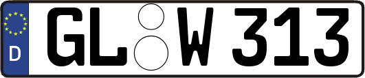 GL-W313