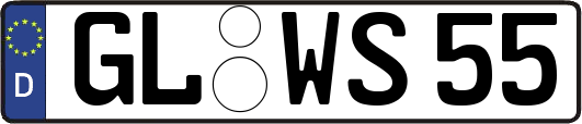 GL-WS55