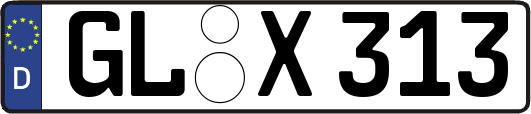 GL-X313