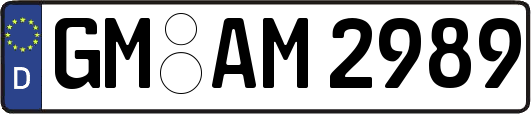 GM-AM2989