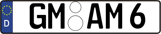 GM-AM6
