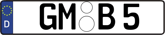 GM-B5