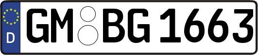 GM-BG1663