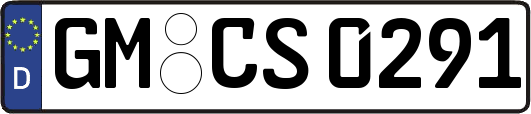 GM-CS0291