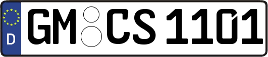 GM-CS1101