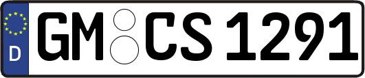 GM-CS1291