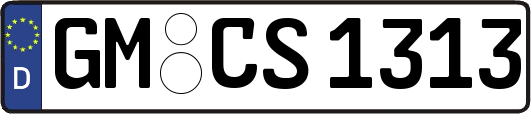 GM-CS1313