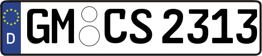 GM-CS2313