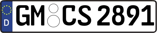 GM-CS2891