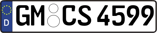 GM-CS4599
