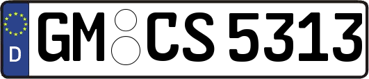GM-CS5313