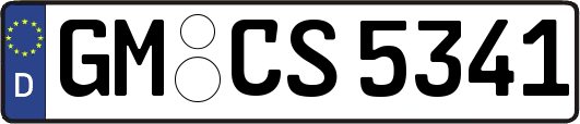 GM-CS5341
