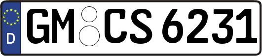 GM-CS6231