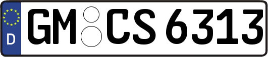 GM-CS6313
