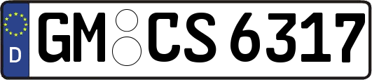 GM-CS6317