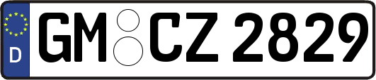 GM-CZ2829