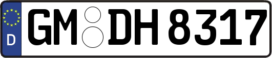 GM-DH8317