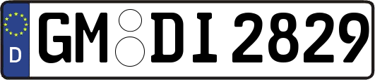 GM-DI2829