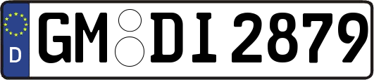 GM-DI2879