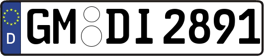 GM-DI2891