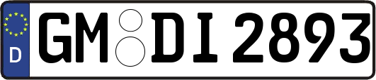 GM-DI2893
