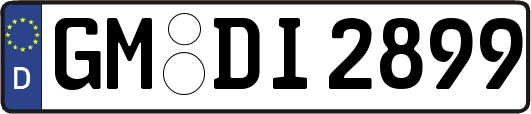 GM-DI2899