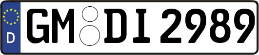GM-DI2989