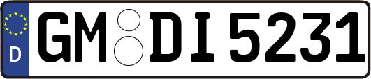GM-DI5231