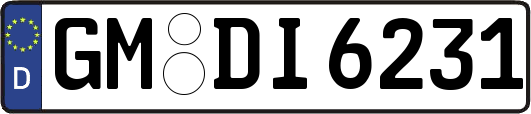GM-DI6231