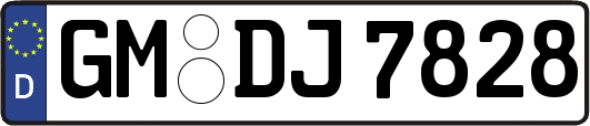 GM-DJ7828