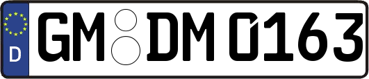 GM-DM0163
