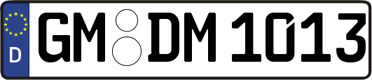 GM-DM1013