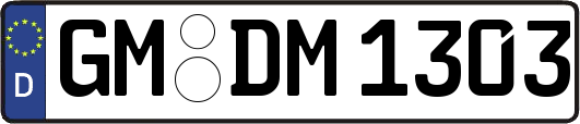 GM-DM1303