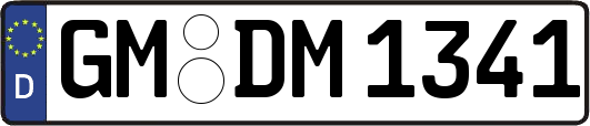 GM-DM1341