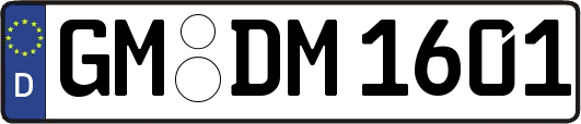 GM-DM1601