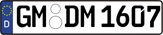 GM-DM1607