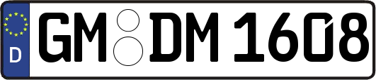GM-DM1608