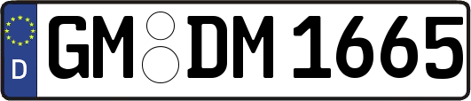 GM-DM1665
