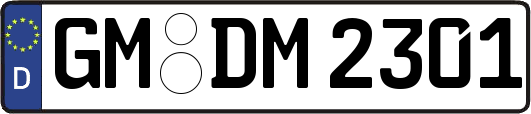 GM-DM2301