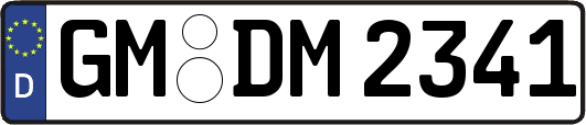 GM-DM2341