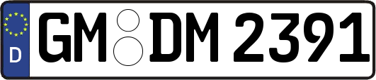 GM-DM2391