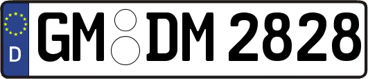 GM-DM2828