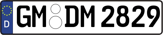 GM-DM2829