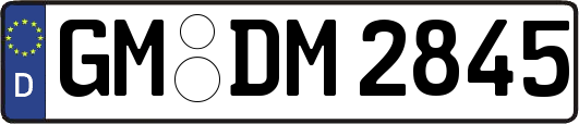GM-DM2845