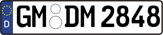 GM-DM2848