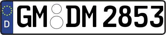 GM-DM2853