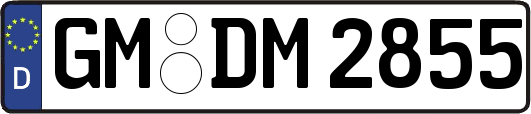 GM-DM2855