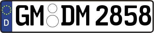 GM-DM2858