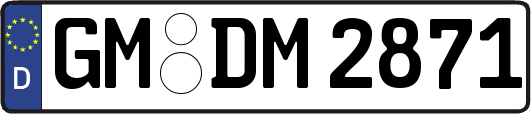 GM-DM2871