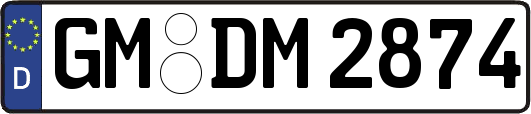GM-DM2874